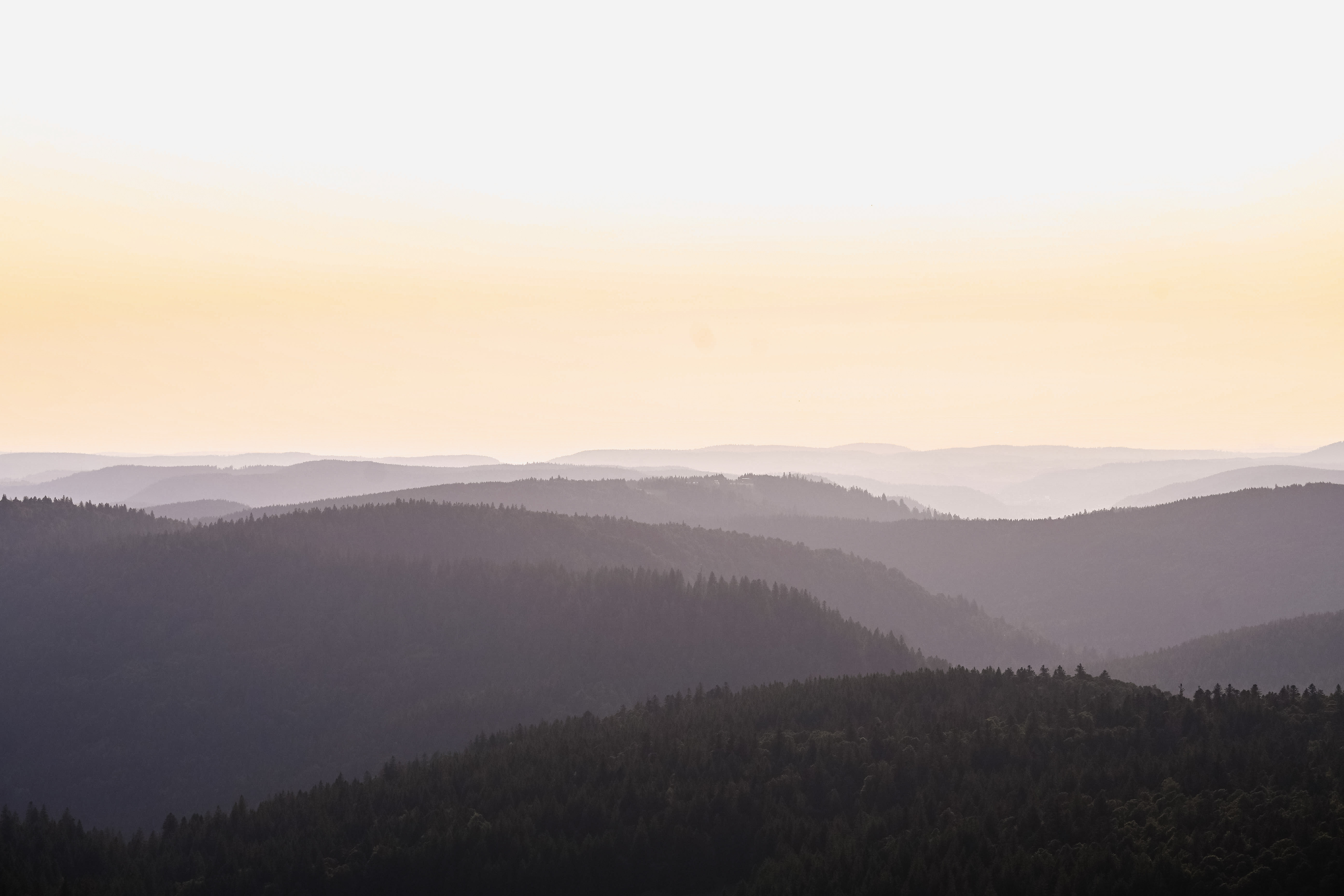 Photography by  Xavier Foulon