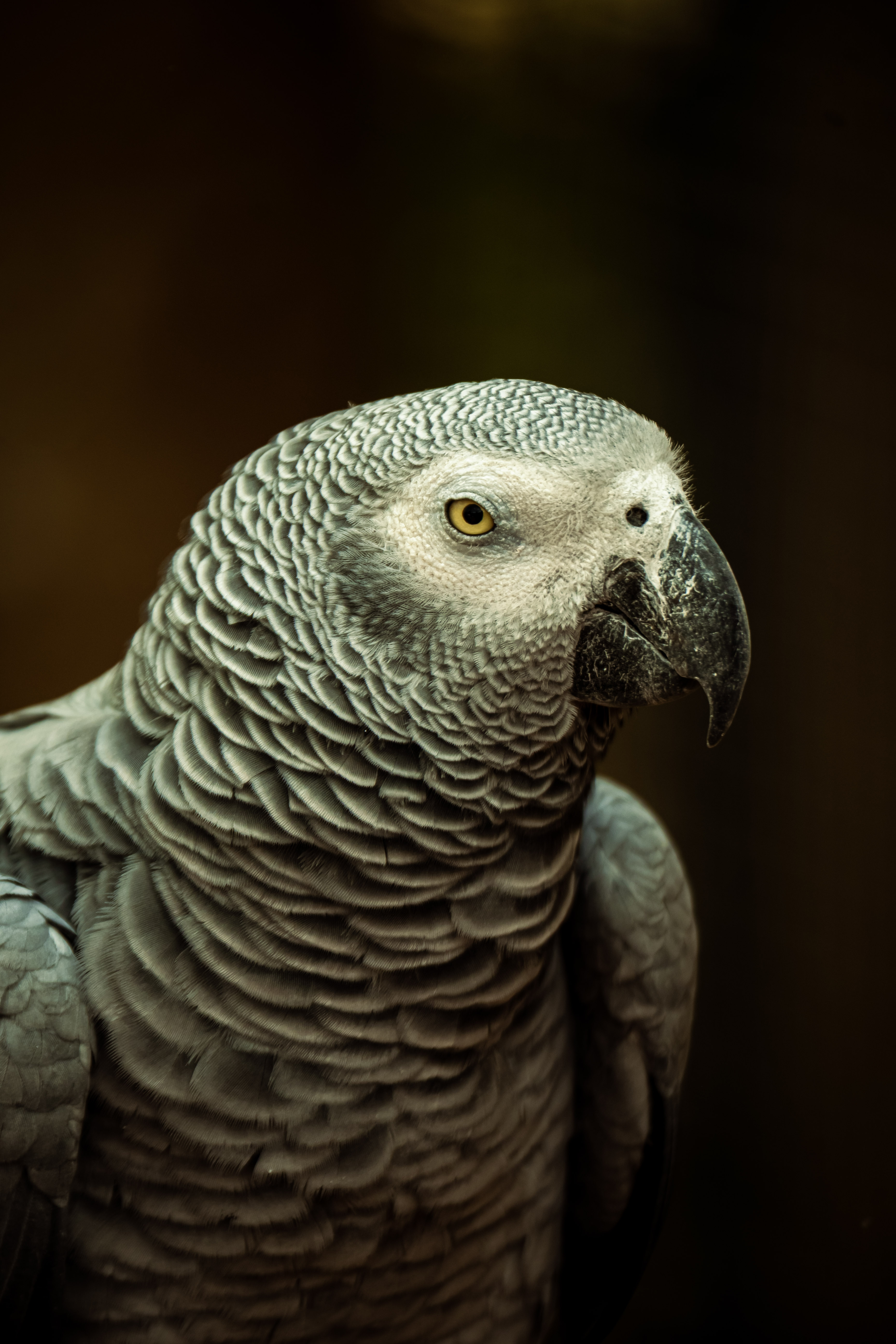 Photography by  Xavier Foulon