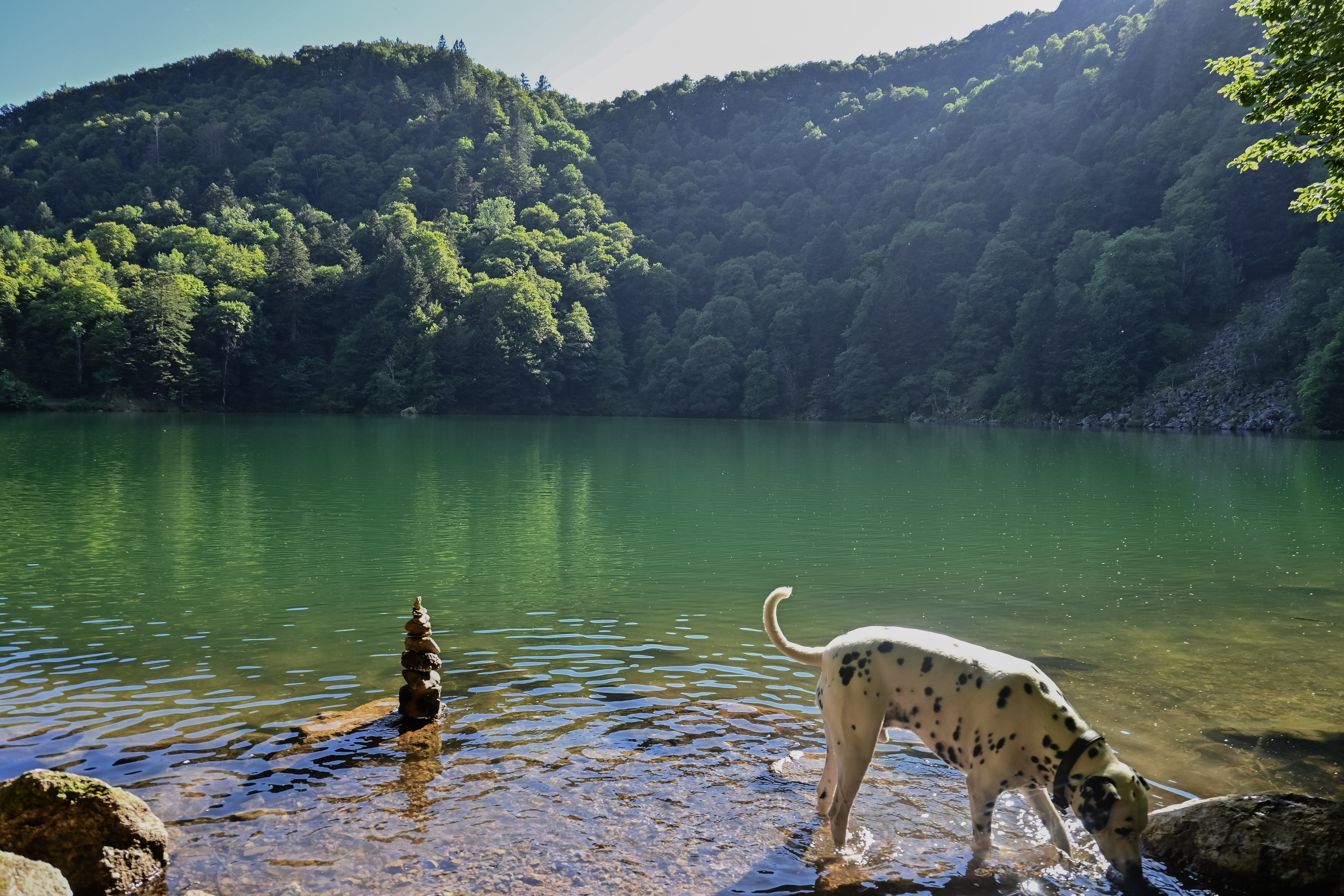 Photography by  Xavier Foulon