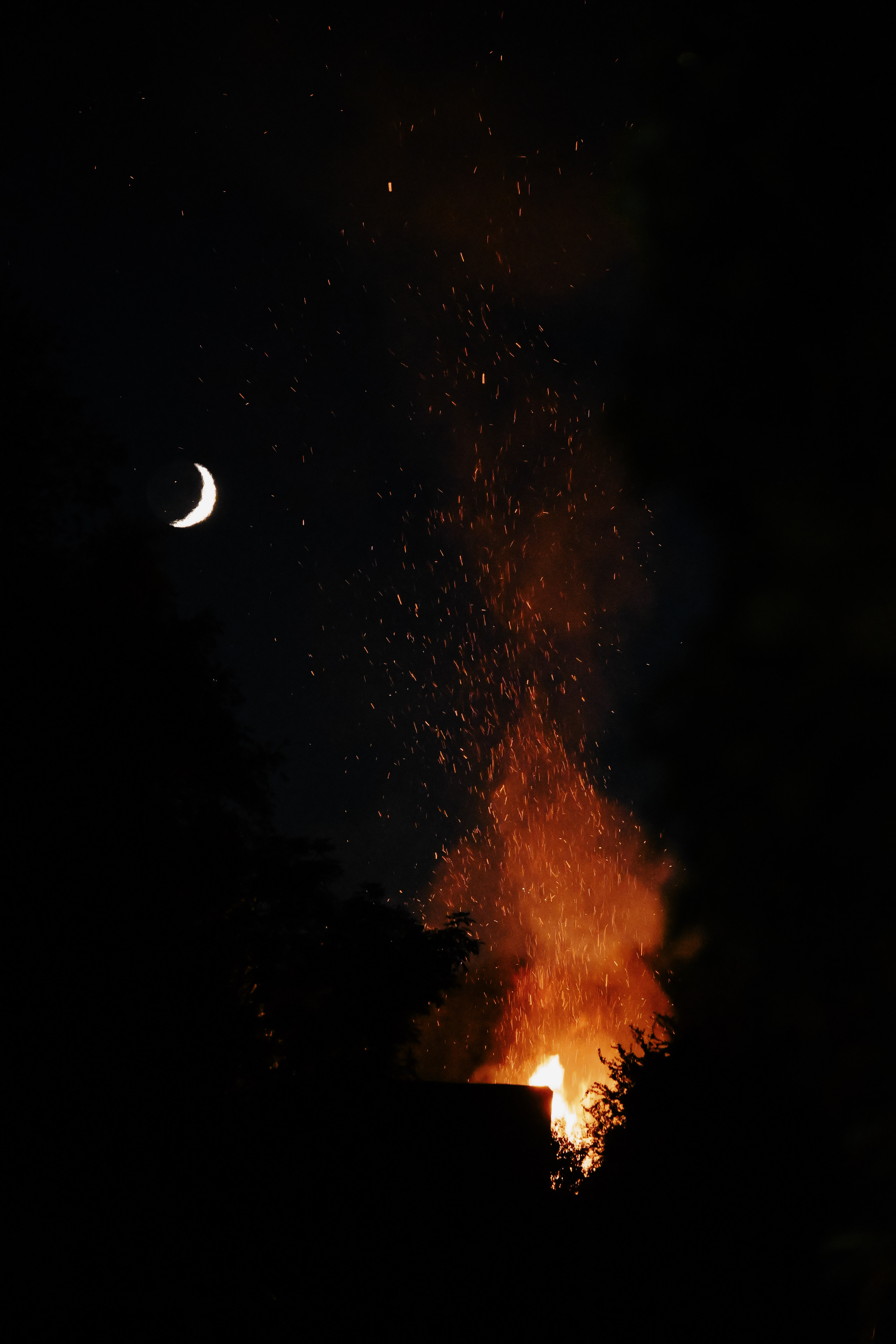 Photography by  Xavier Foulon