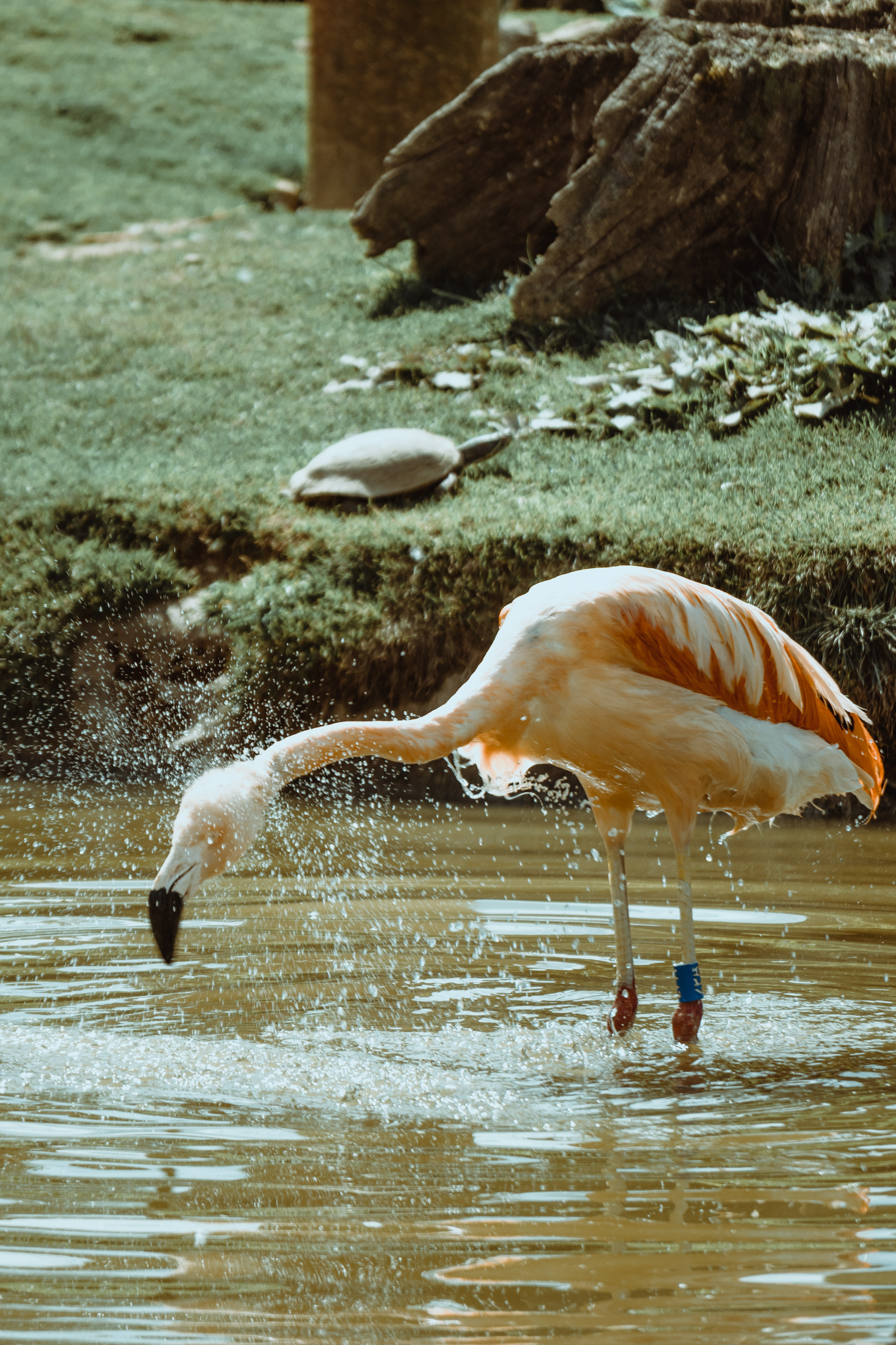 Photography by  Xavier Foulon
