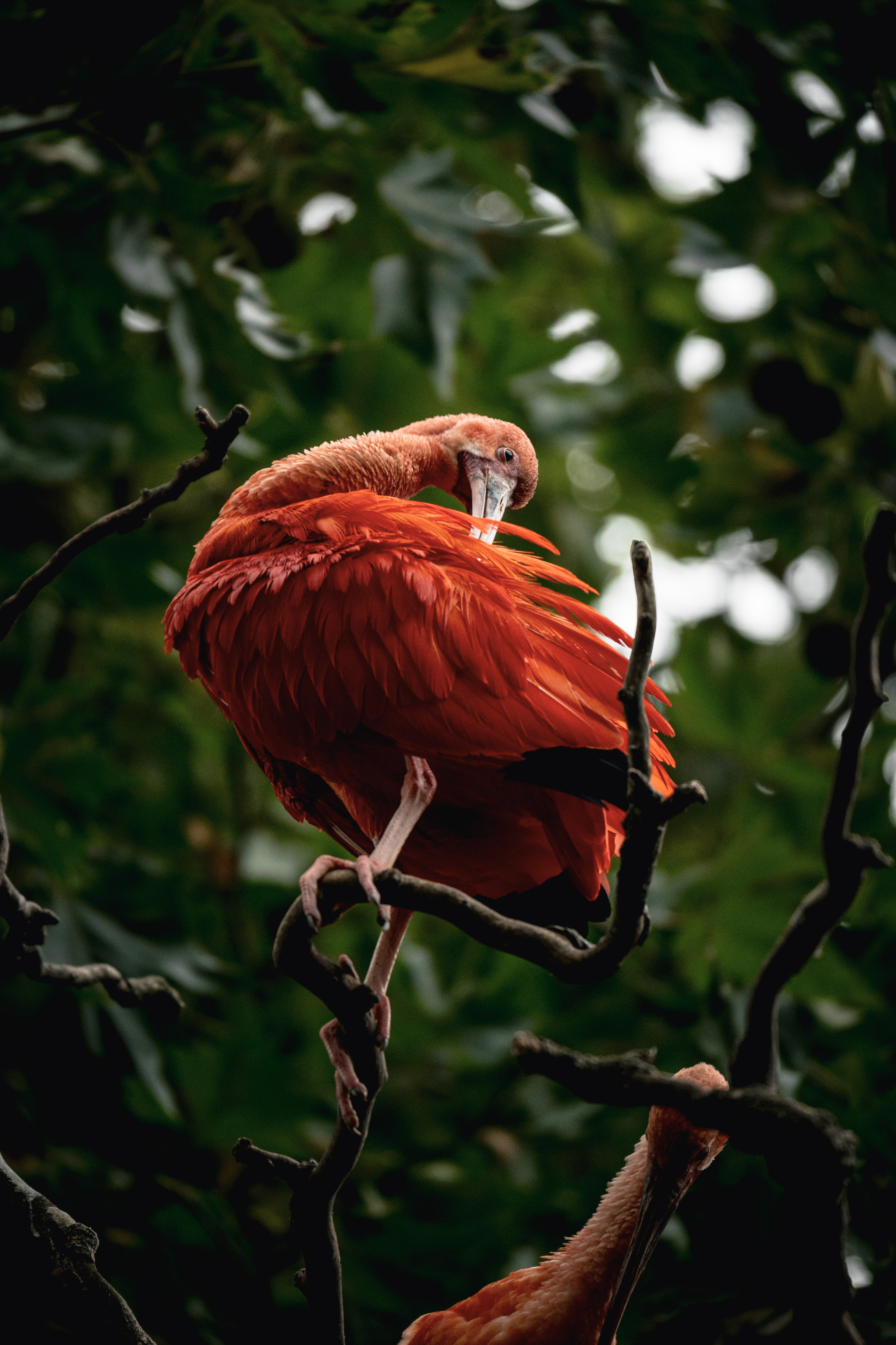 Photography by  Xavier Foulon